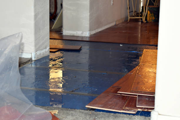 Professional Water Extraction technician working in Keene, TX